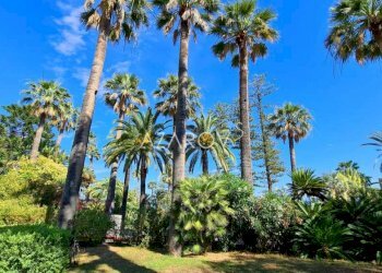 Villa Sanremo - foto 1