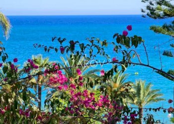 Villa Sanremo - foto 12