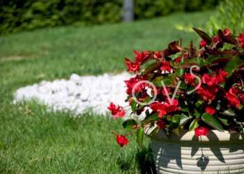 Villa Bordighera - foto 15