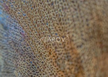 Quadrilocale Sanremo - foto 22