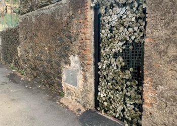 WhatsApp Image 2023-11-08 at 16.12.03.jpeg - Villa Tremestieri Etneo - foto 20