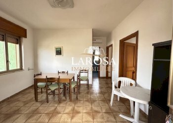 5.jpg - Quadrilocale Melendugno - foto 3