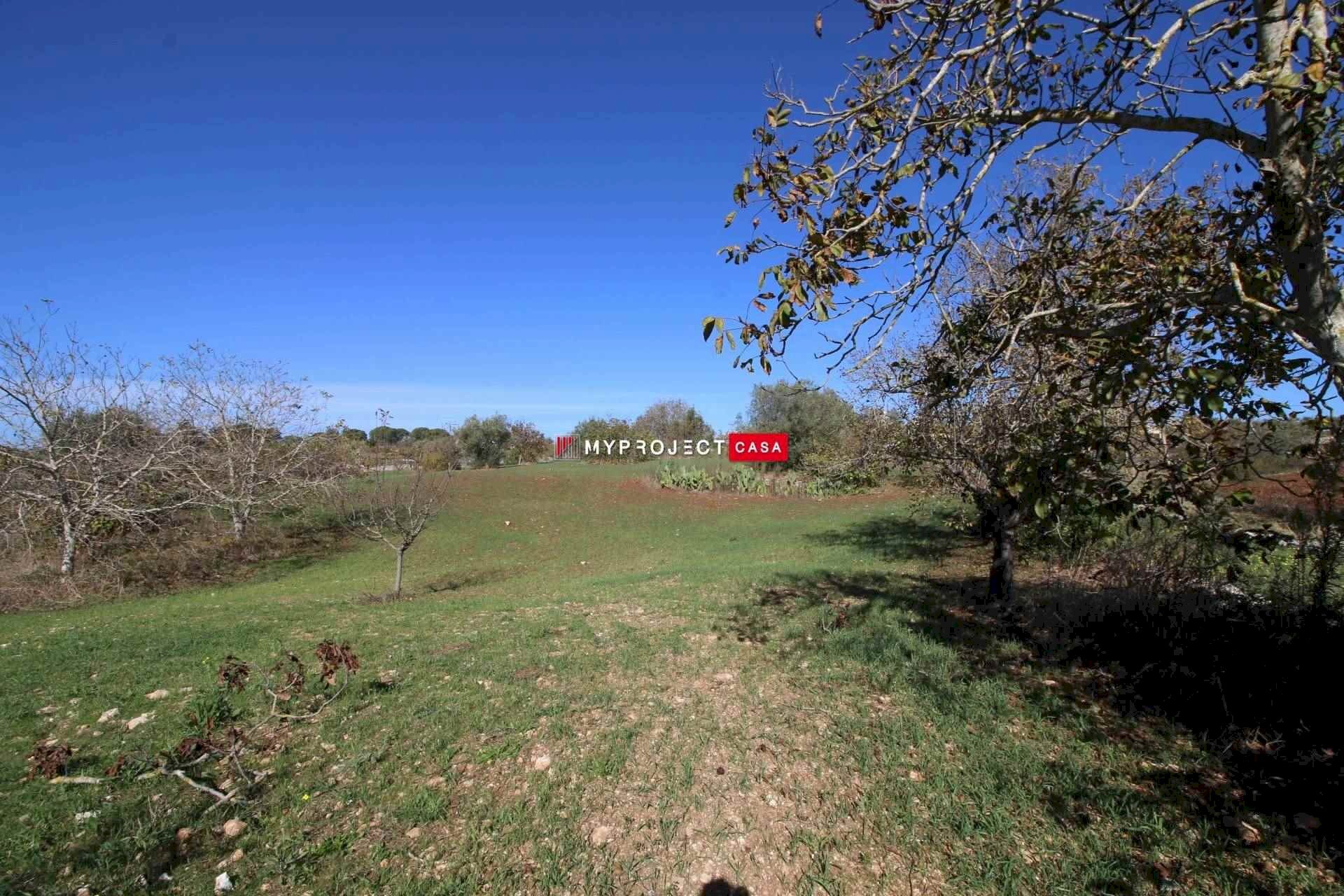 Terreno edificabile Contrada Padula Cappa, Martina Franca - foto 3