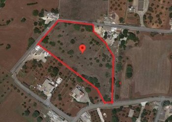 Terreno edificabile Contrada Padula Cappa, Martina Franca - foto 2