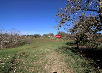 Terreno edificabile Contrada Padula Cappa, Martina Franca - foto 3
