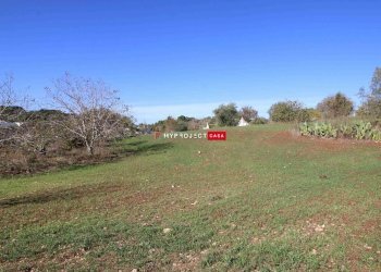 Terreno edificabile Contrada Padula Cappa, Martina Franca - foto 4