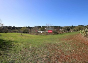 Terreno edificabile Contrada Padula Cappa, Martina Franca - foto 6