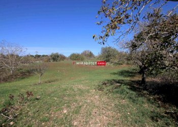 Terreno edificabile Contrada Padula Cappa, Martina Franca - foto 7