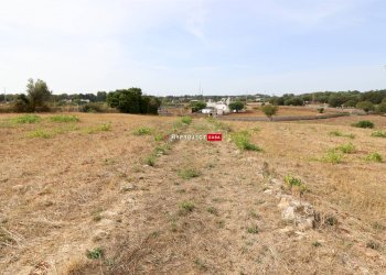 Trullo Strada Porcile Palesi, Martina Franca - foto 2