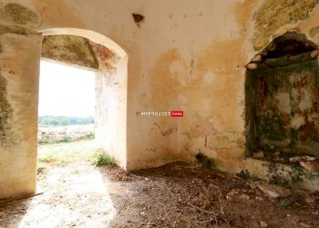 Trullo Strada Porcile Palesi, Martina Franca - foto 9