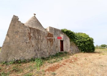 Trullo Strada Porcile Palesi, Martina Franca - foto 13