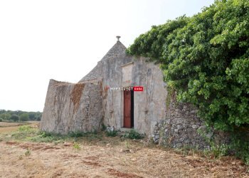 Trullo Strada Porcile Palesi, Martina Franca - foto 20