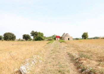 Trullo Strada Porcile Palesi, Martina Franca - foto 27