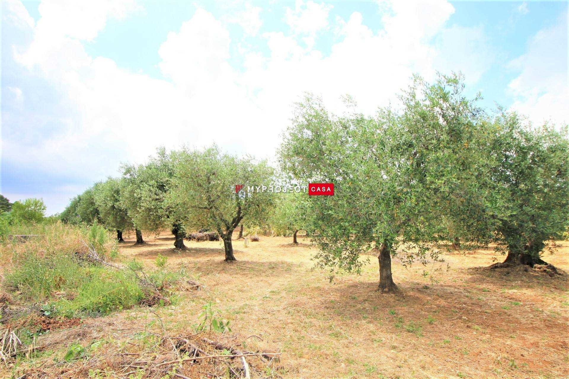 Terreno edificabile Pasqualone, Martina Franca - foto 3