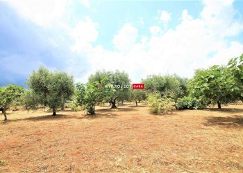 Terreno edificabile Pasqualone, Martina Franca - foto 5