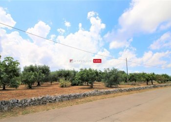 Terreno edificabile Pasqualone, Martina Franca - foto 7