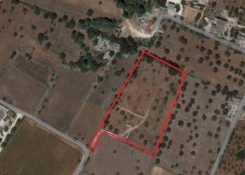 Terreno agricolo Via Cisternino, Martina Franca - foto 4