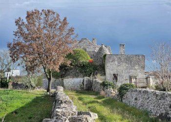 Locale Commerciale C.da Capo Di Gallo, Martina Franca - foto 4