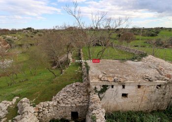 Locale Commerciale C.da Capo Di Gallo, Martina Franca - foto 22