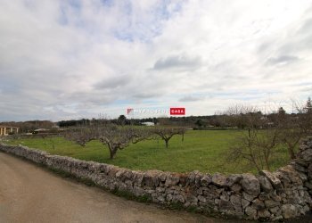 Agricultural land Strada Tiro A Segno, Martina Franca - photo 3