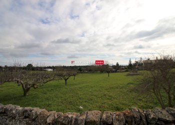 Agricultural land Strada Tiro A Segno, Martina Franca - photo 5
