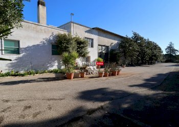 Capannone Contrada Trasconi, Martina Franca - foto 5