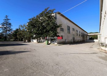 Capannone Contrada Trasconi, Martina Franca - foto 6