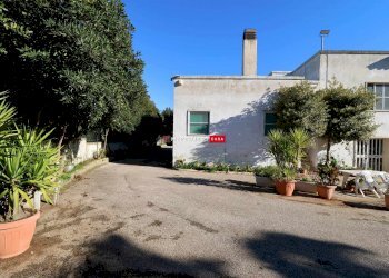 Capannone Contrada Trasconi, Martina Franca - foto 7