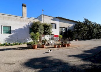 Capannone Contrada Trasconi, Martina Franca - foto 12