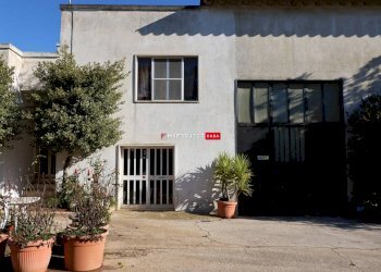 Capannone Contrada Trasconi, Martina Franca - foto 13