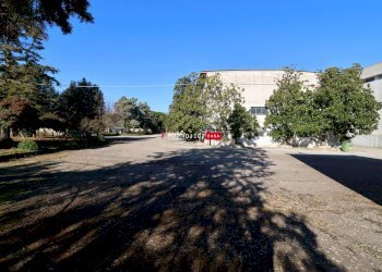 Capannone Contrada Trasconi, Martina Franca - foto 14