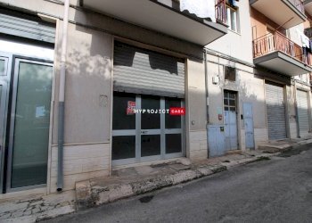 Negozio Via Dei Cedri, Martina Franca - foto 2