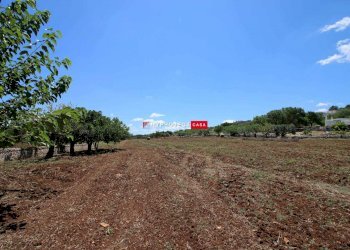 Trullo Via Ceglie, Martina Franca - foto 5