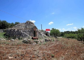 Trullo Via Ceglie, Martina Franca - foto 1