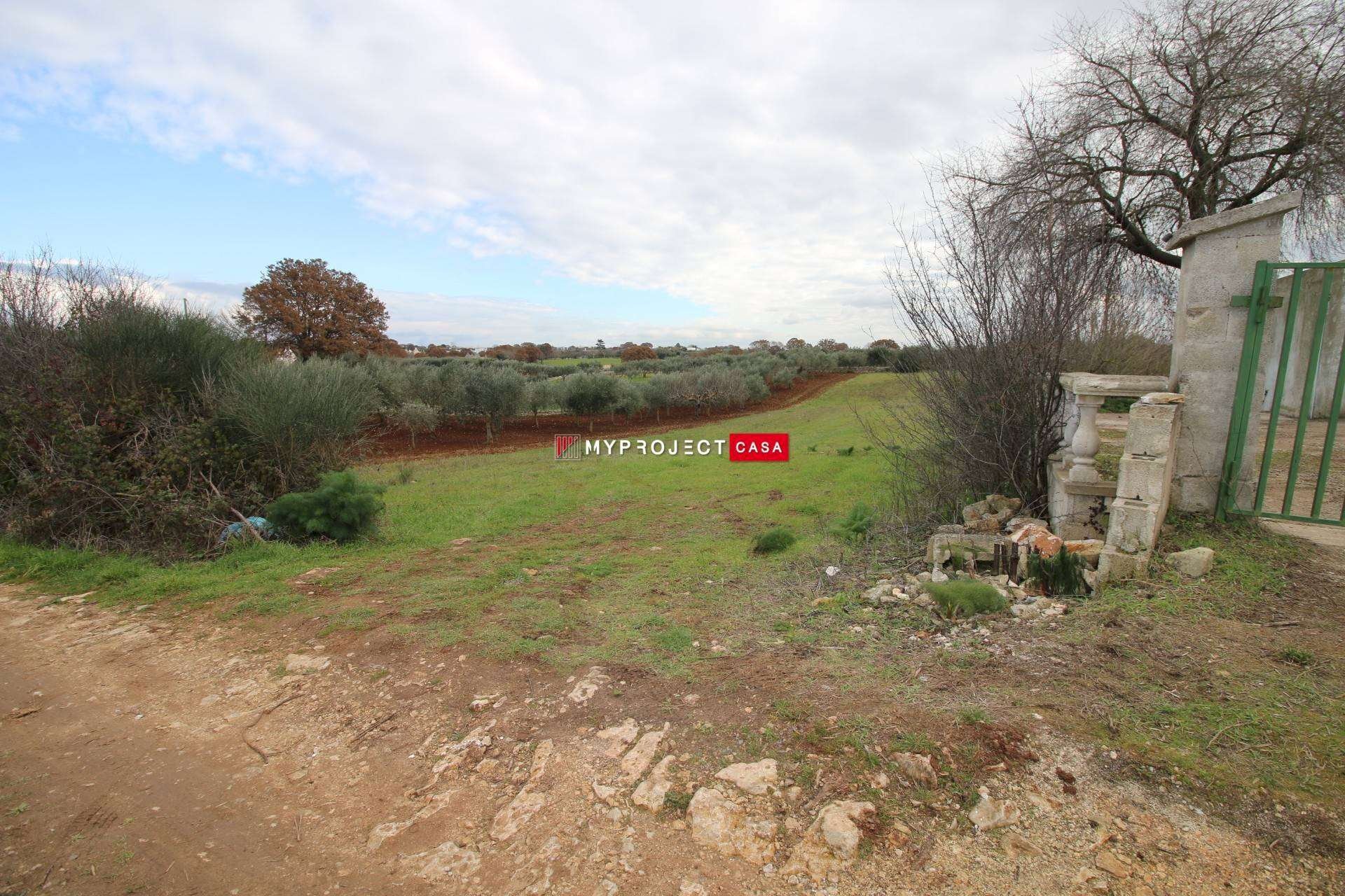 Terreno agricolo Contrada Madonna Dell'arco, Martina Franca - foto 2