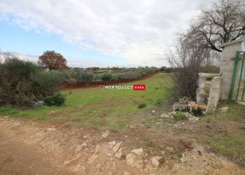 Terreno agricolo Contrada Madonna Dell'arco, Martina Franca - foto 2