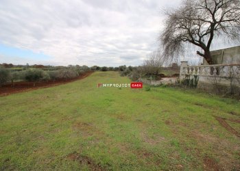 Terreno agricolo Contrada Madonna Dell'arco, Martina Franca - foto 3