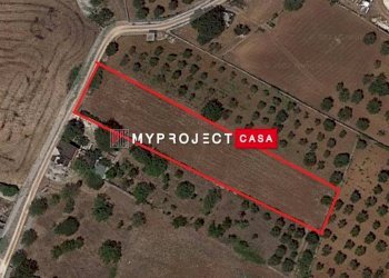 Terreno agricolo Contrada Madonna Dell'arco, Martina Franca - foto 4