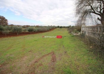 Terreno agricolo Contrada Madonna Dell'arco, Martina Franca - foto 5