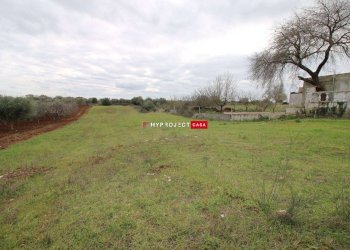 Terreno agricolo Contrada Madonna Dell'arco, Martina Franca - foto 6