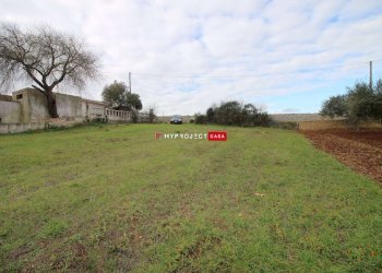 Terreno agricolo Contrada Madonna Dell'arco, Martina Franca - foto 7