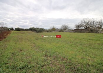 Terreno agricolo Contrada Madonna Dell'arco, Martina Franca - foto 8