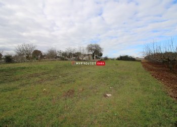 Terreno agricolo Contrada Madonna Dell'arco, Martina Franca - foto 9