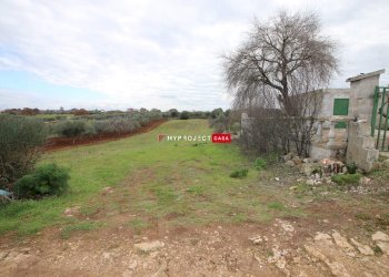 Terreno agricolo Contrada Madonna Dell'arco, Martina Franca - foto 11