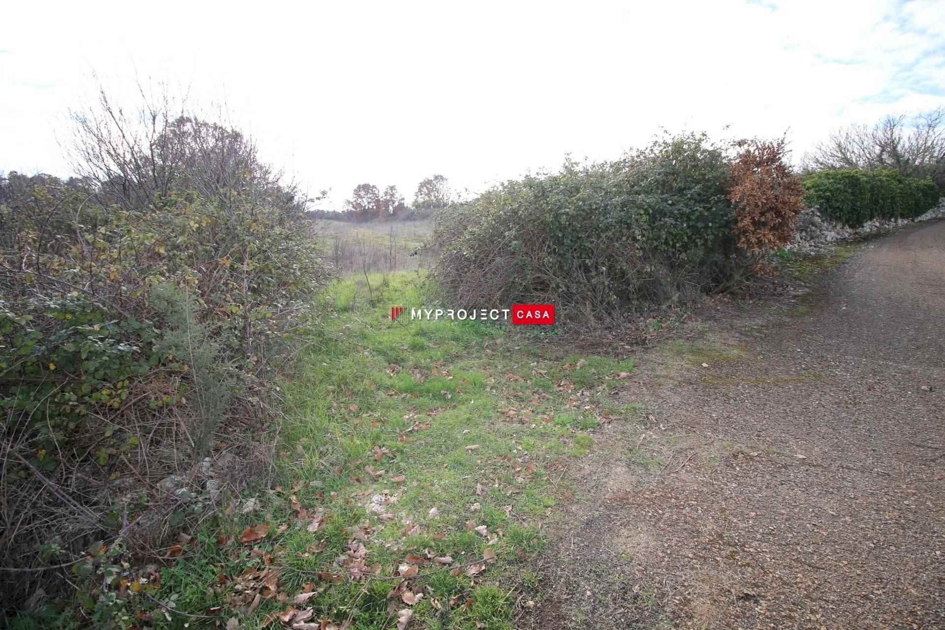 Agricultural land Contrada Papa Domenico, Martina Franca - photo 1