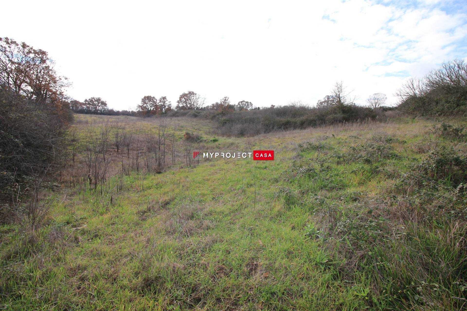 Agricultural land Contrada Papa Domenico, Martina Franca - photo 2