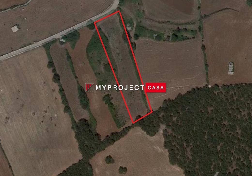 Agricultural land Contrada Papa Domenico, Martina Franca - photo 3