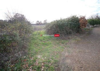 Terreno agricolo Contrada Papa Domenico, Martina Franca - foto 1