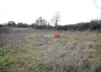 Terreno agricolo Contrada Papa Domenico, Martina Franca - foto 4