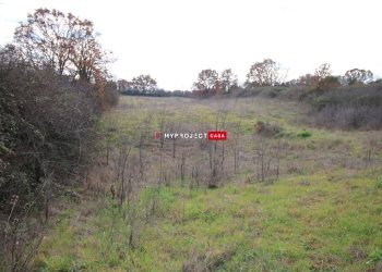 Terreno agricolo Contrada Papa Domenico, Martina Franca - foto 5